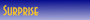�T�v���C�Y