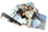 book-cc.gif