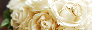 �u���C�_���t�H�g