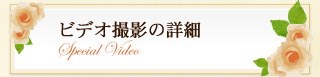 �r�f�I�B�e�̏ڍ�